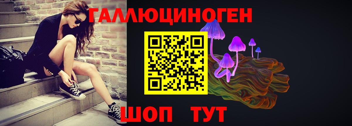 Оренбург  Галлюциногенные грибы прущие грибы  Псилоцибиновые грибы Cubensis  Вход с VPN 